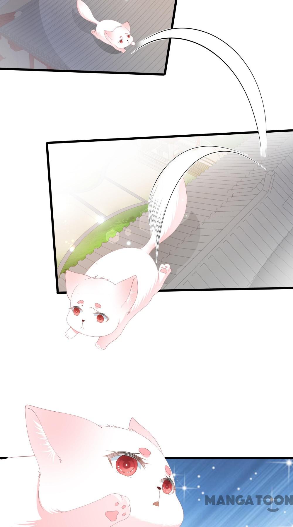 Hồ Phi Chớ Dây Vào Lửa Chapter 60 - Trang 12