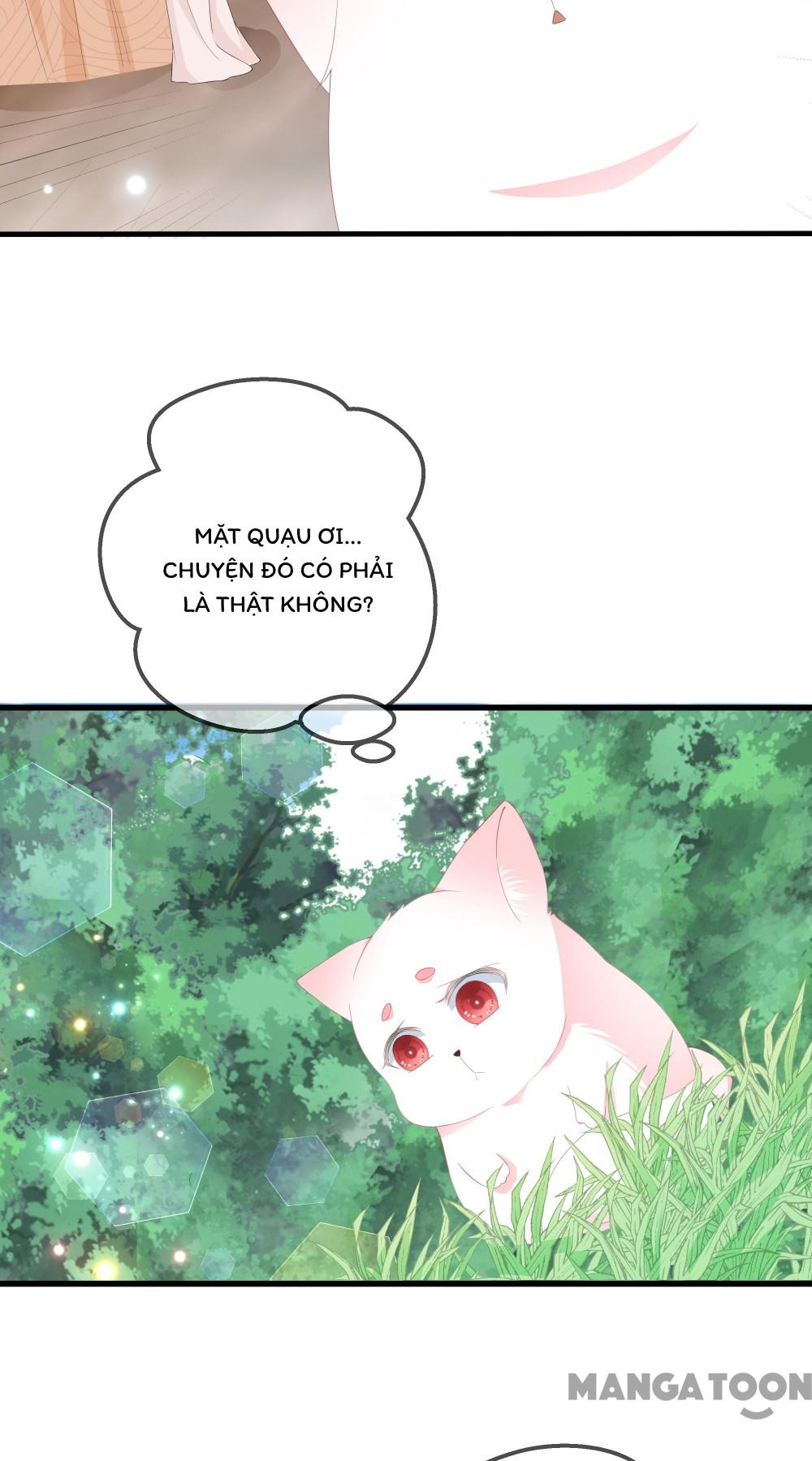 Hồ Phi Chớ Dây Vào Lửa Chapter 60 - Trang 15