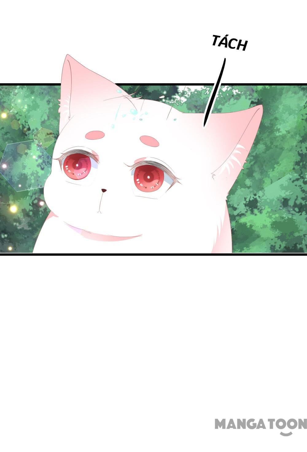 Hồ Phi Chớ Dây Vào Lửa Chapter 60 - Trang 17