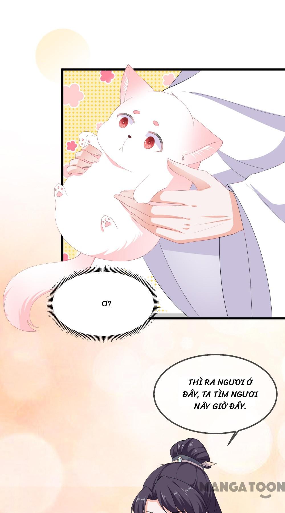 Hồ Phi Chớ Dây Vào Lửa Chapter 60 - Trang 24
