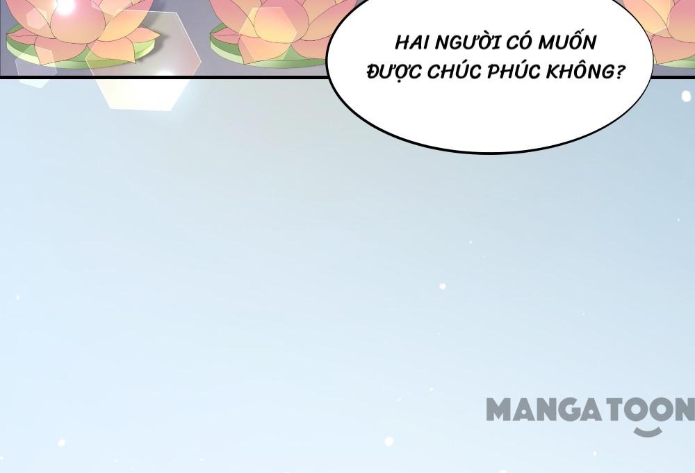Hồ Phi Chớ Dây Vào Lửa Chapter 61 - Trang 13