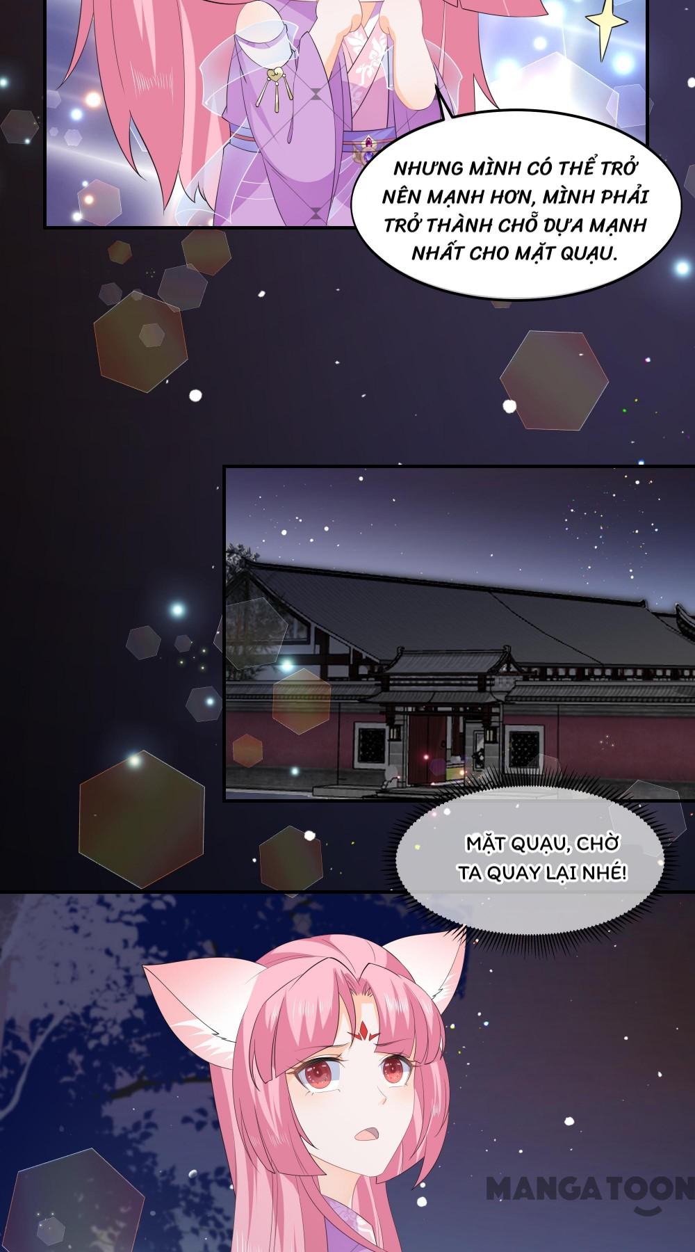 Hồ Phi Chớ Dây Vào Lửa Chapter 62 - Trang 17