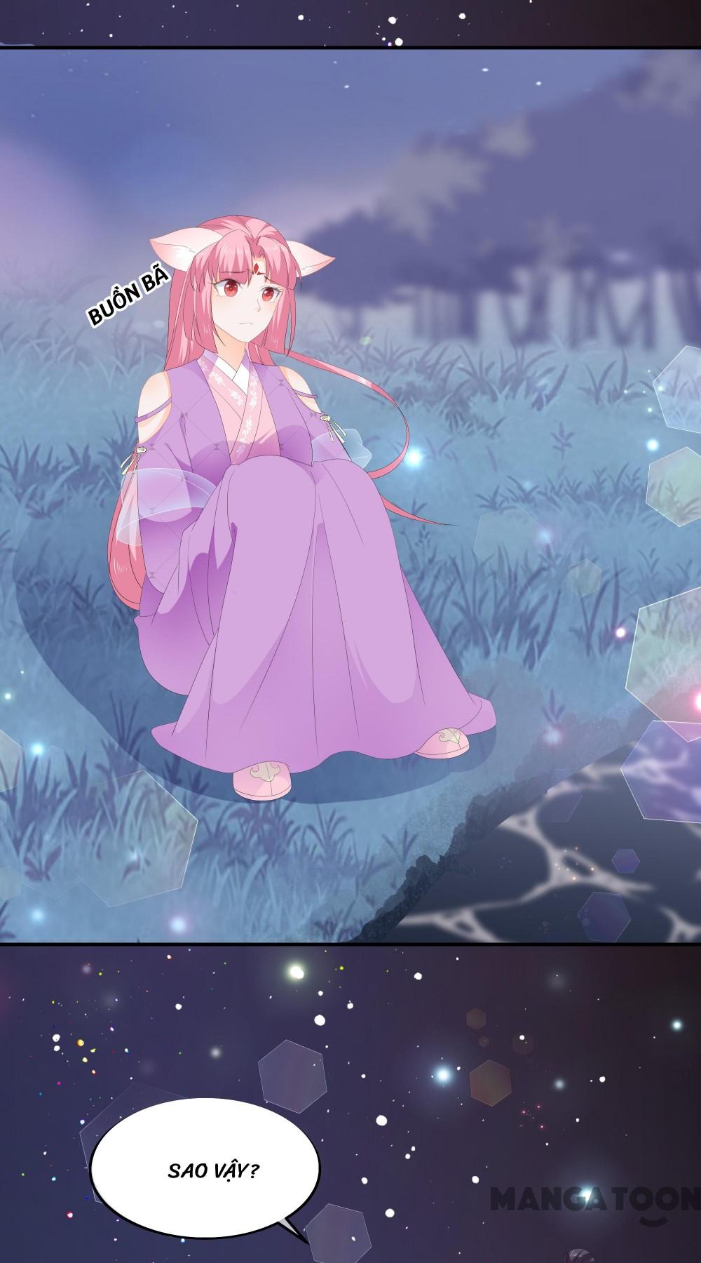 Hồ Phi Chớ Dây Vào Lửa Chapter 62 - Trang 2