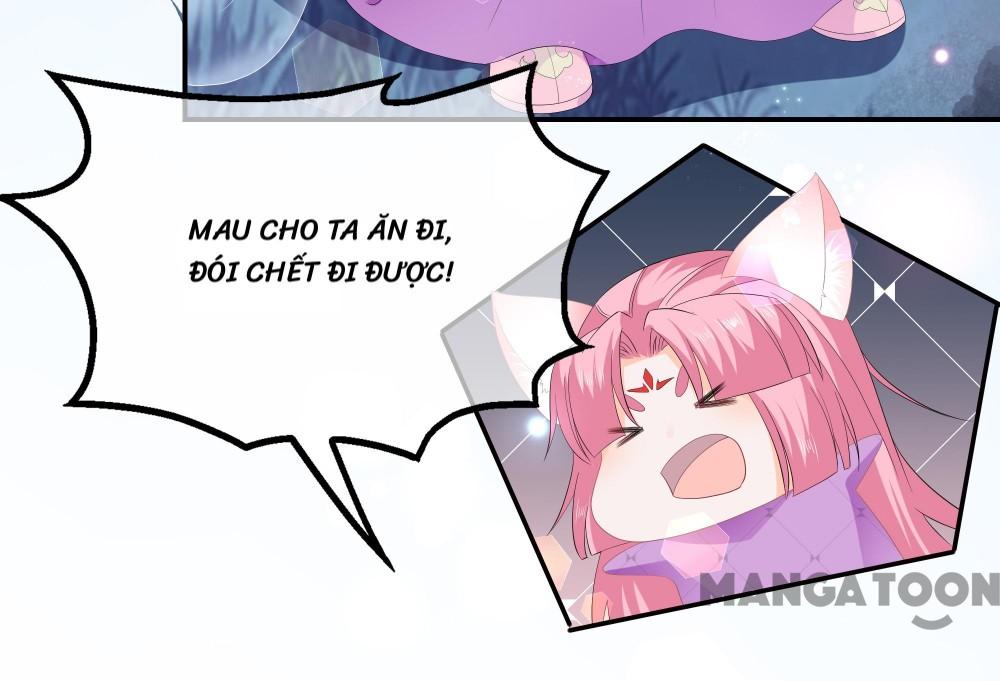 Hồ Phi Chớ Dây Vào Lửa Chapter 62 - Trang 7
