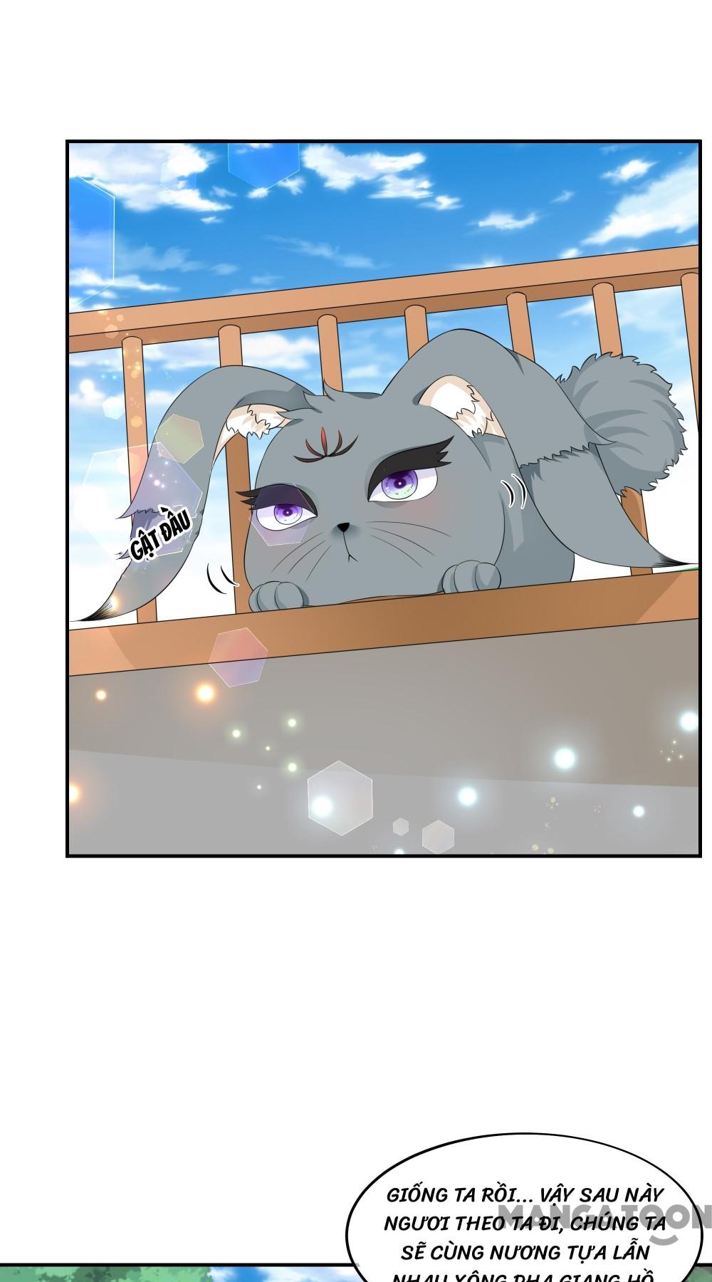 Hồ Phi Chớ Dây Vào Lửa Chapter 63 - Trang 20