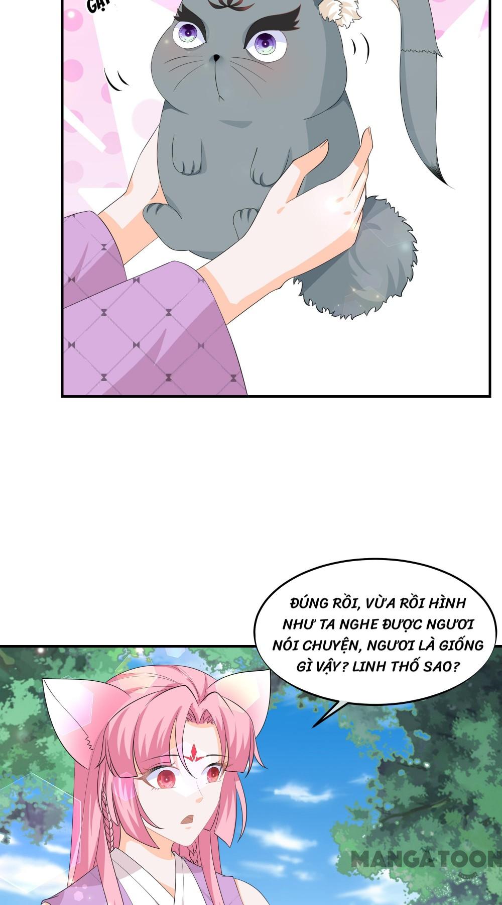 Hồ Phi Chớ Dây Vào Lửa Chapter 63 - Trang 22