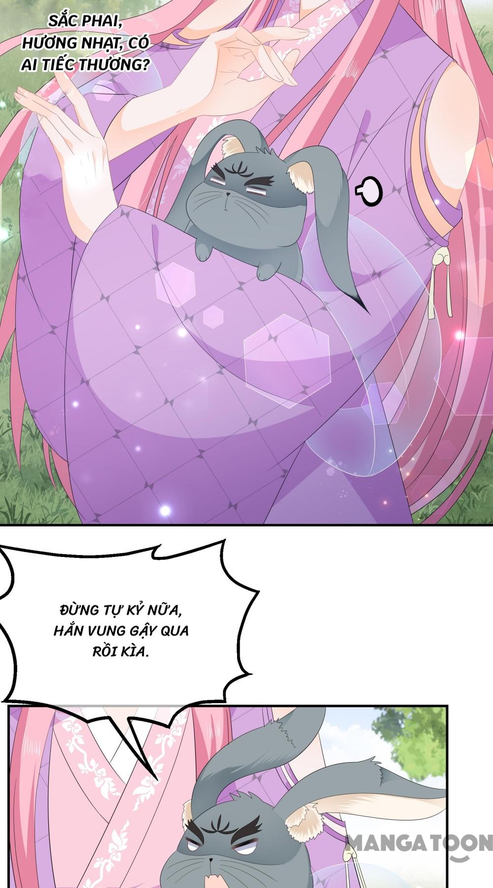 Hồ Phi Chớ Dây Vào Lửa Chapter 64 - Trang 4