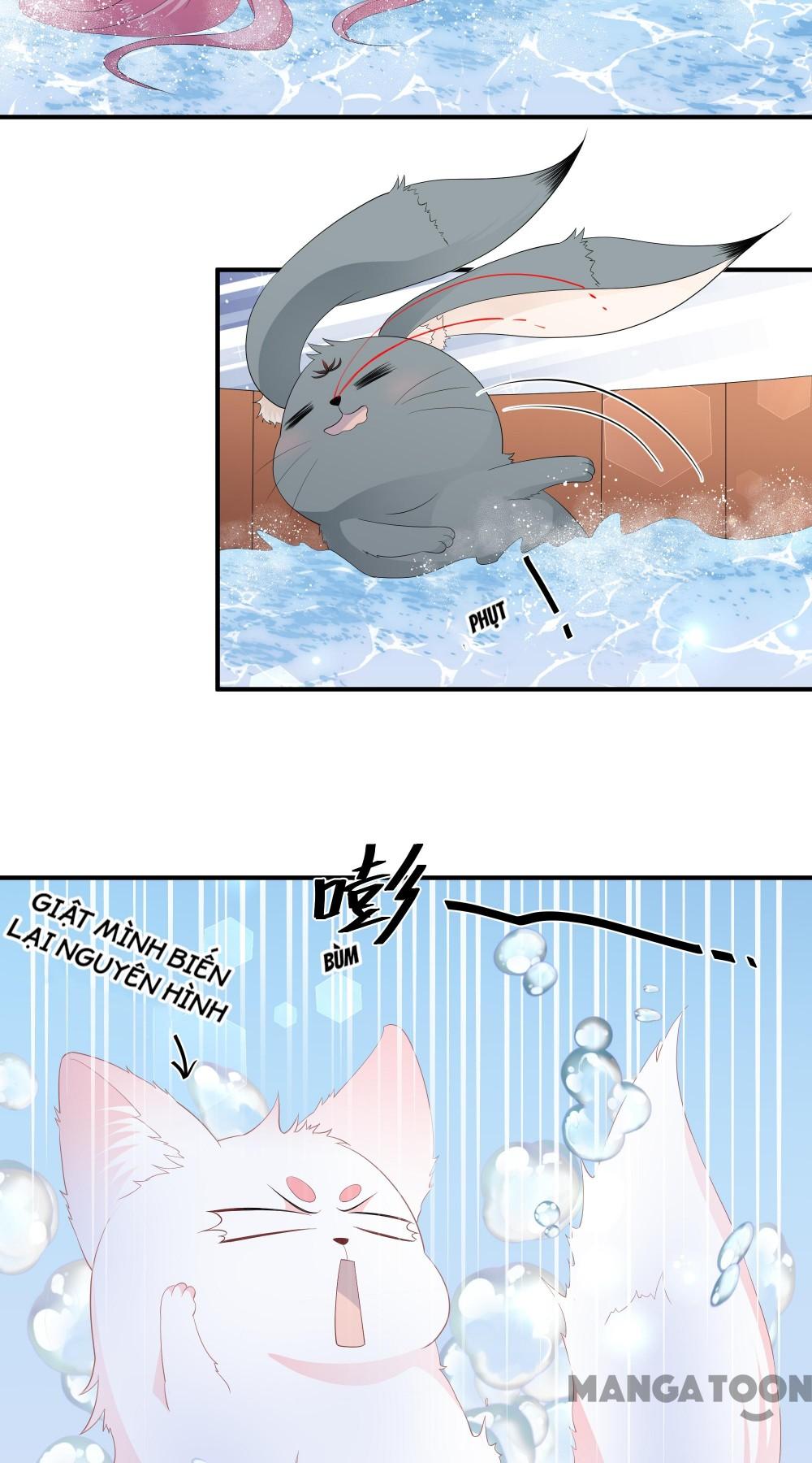 Hồ Phi Chớ Dây Vào Lửa Chapter 65 - Trang 18