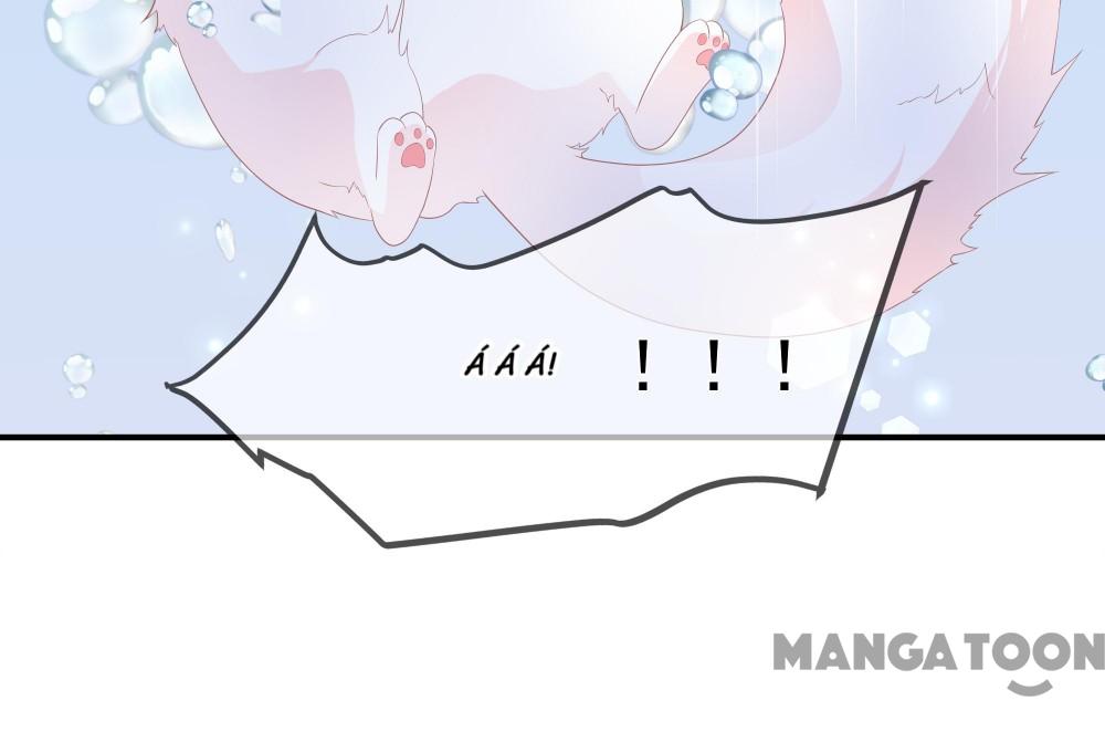 Hồ Phi Chớ Dây Vào Lửa Chapter 65 - Trang 19