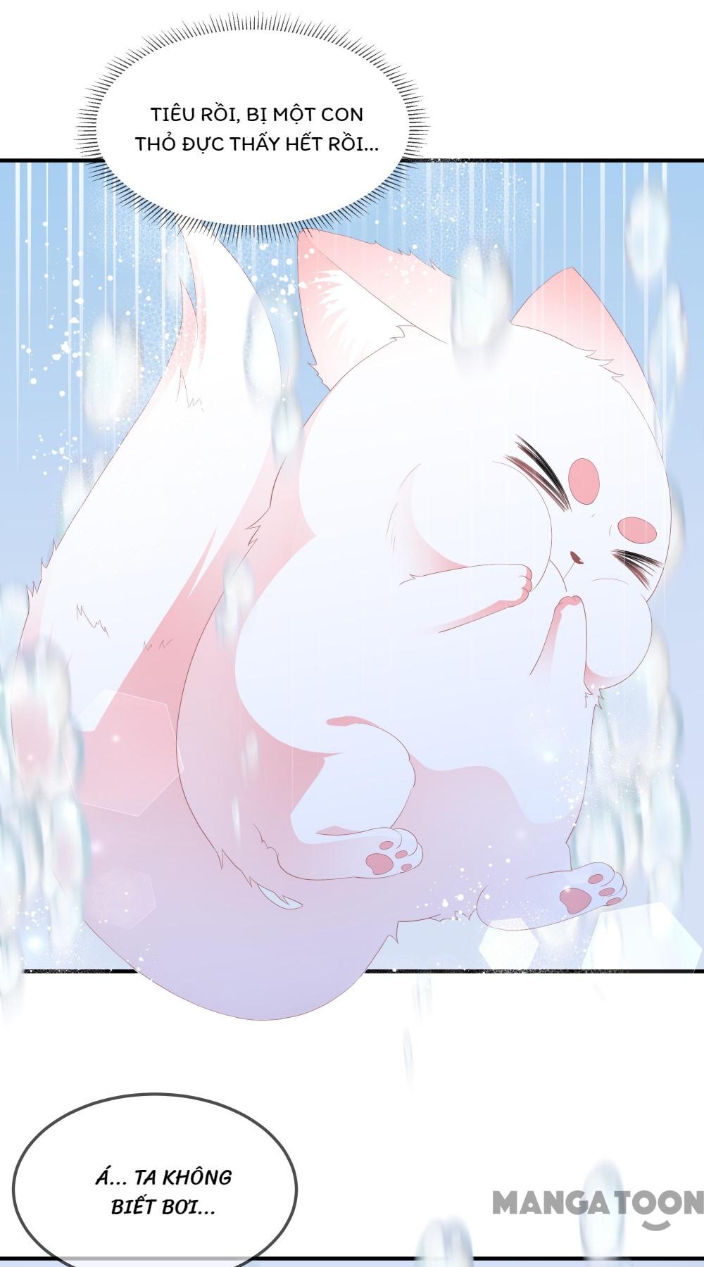 Hồ Phi Chớ Dây Vào Lửa Chapter 65 - Trang 20
