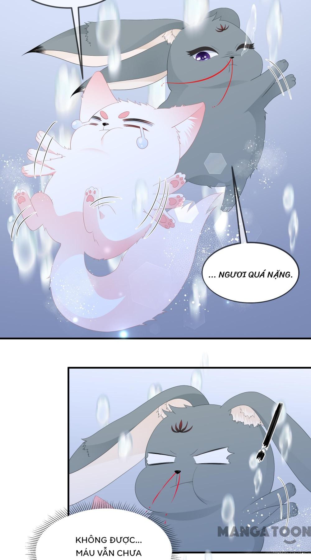 Hồ Phi Chớ Dây Vào Lửa Chapter 65 - Trang 21