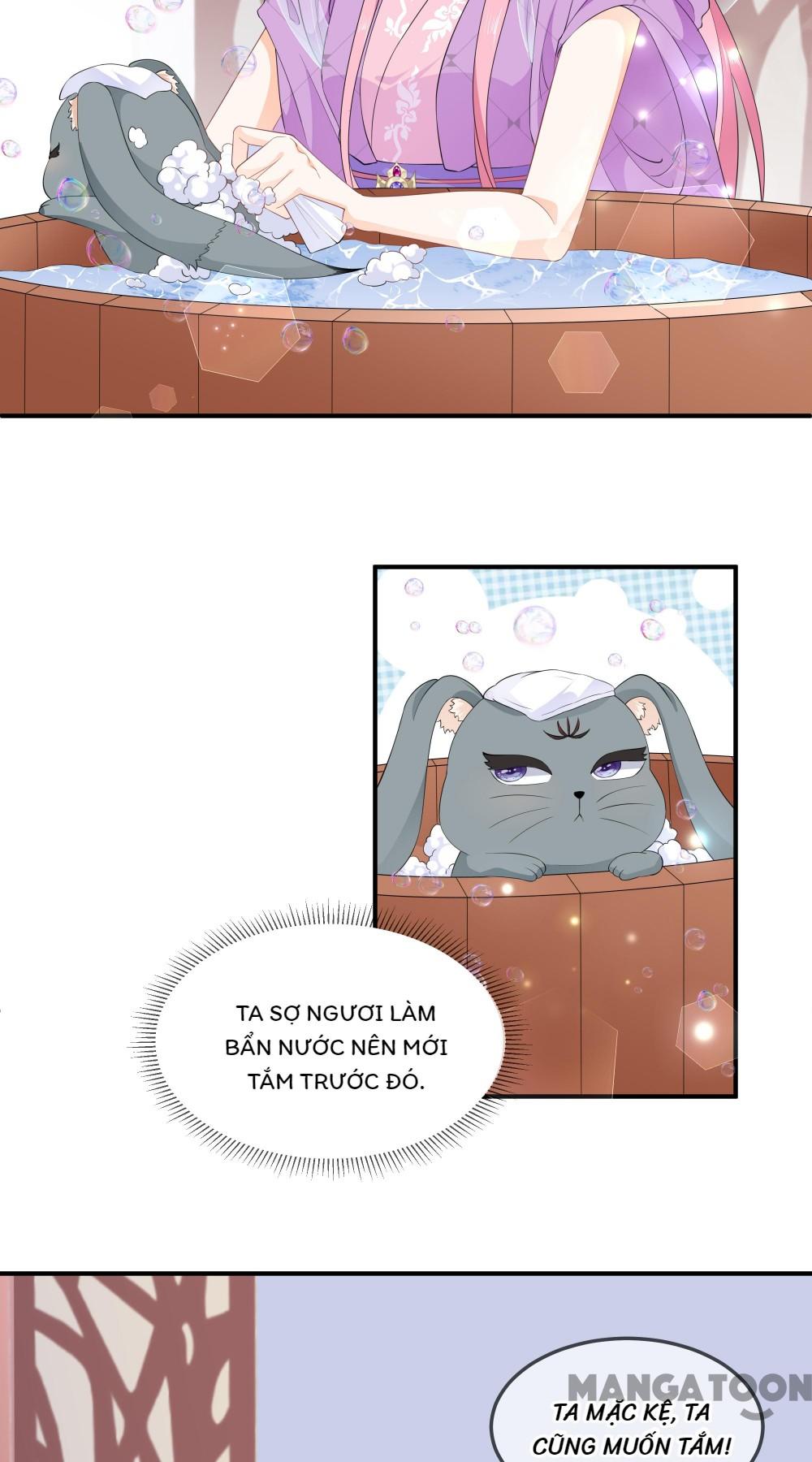 Hồ Phi Chớ Dây Vào Lửa Chapter 65 - Trang 5