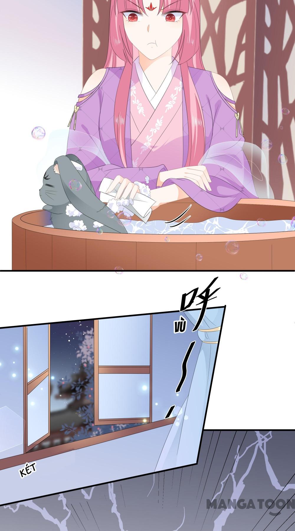 Hồ Phi Chớ Dây Vào Lửa Chapter 65 - Trang 9