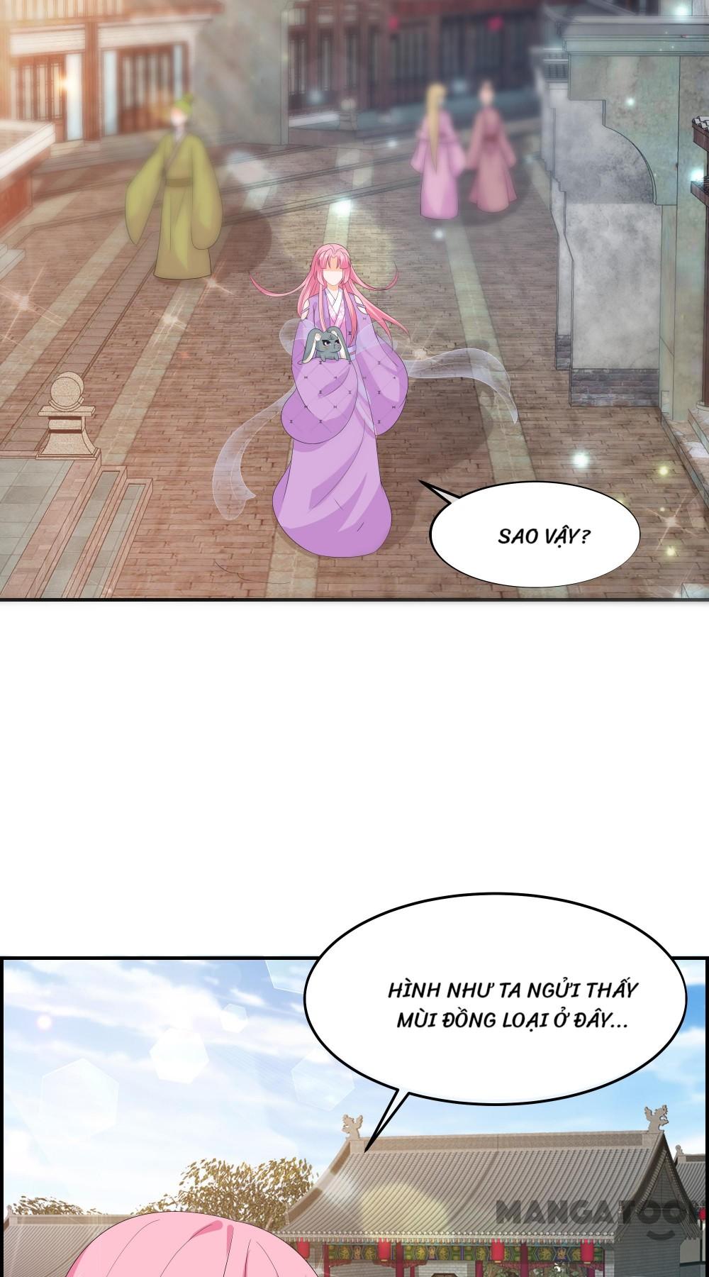 Hồ Phi Chớ Dây Vào Lửa Chapter 66 - Trang 4