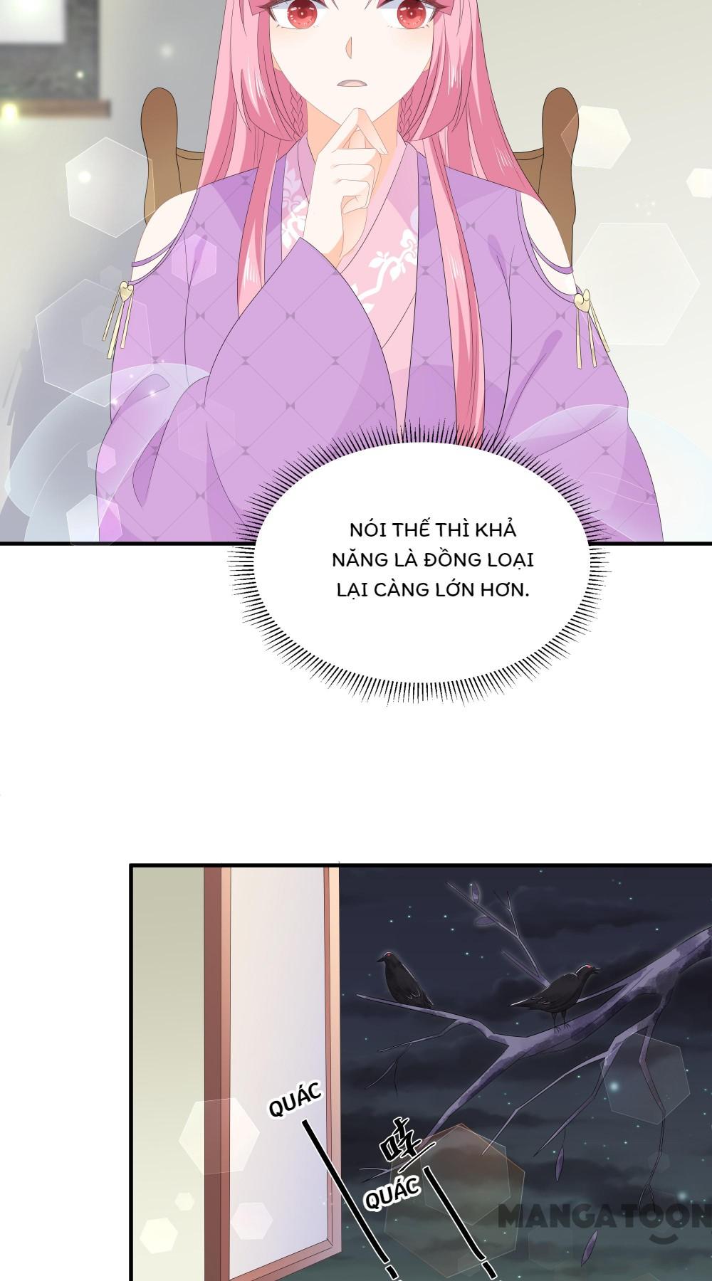 Hồ Phi Chớ Dây Vào Lửa Chapter 67 - Trang 11