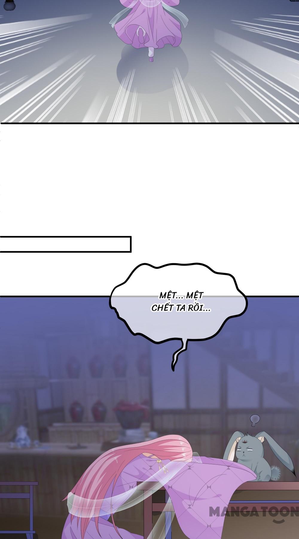 Hồ Phi Chớ Dây Vào Lửa Chapter 67 - Trang 25