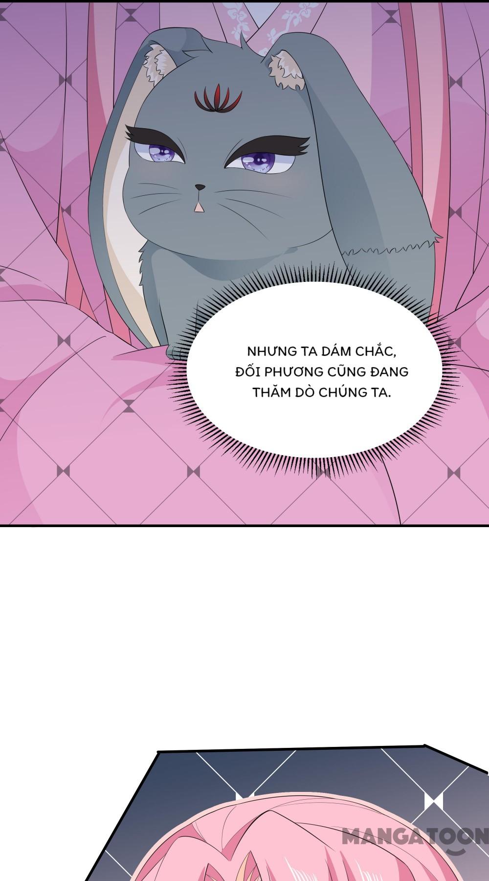 Hồ Phi Chớ Dây Vào Lửa Chapter 67 - Trang 28