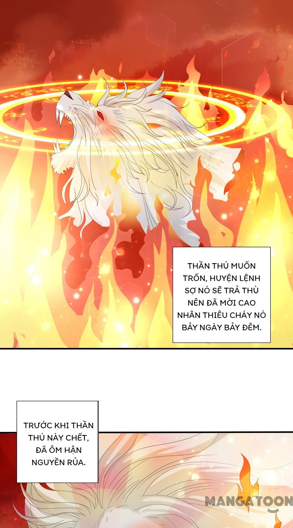 Hồ Phi Chớ Dây Vào Lửa Chapter 68 - Trang 22