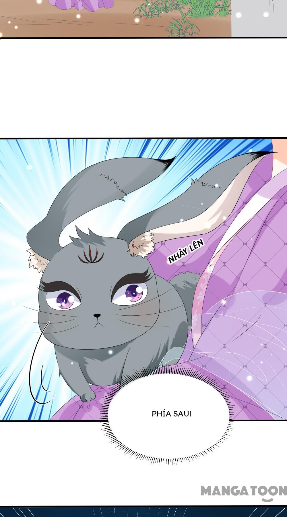 Hồ Phi Chớ Dây Vào Lửa Chapter 68 - Trang 30