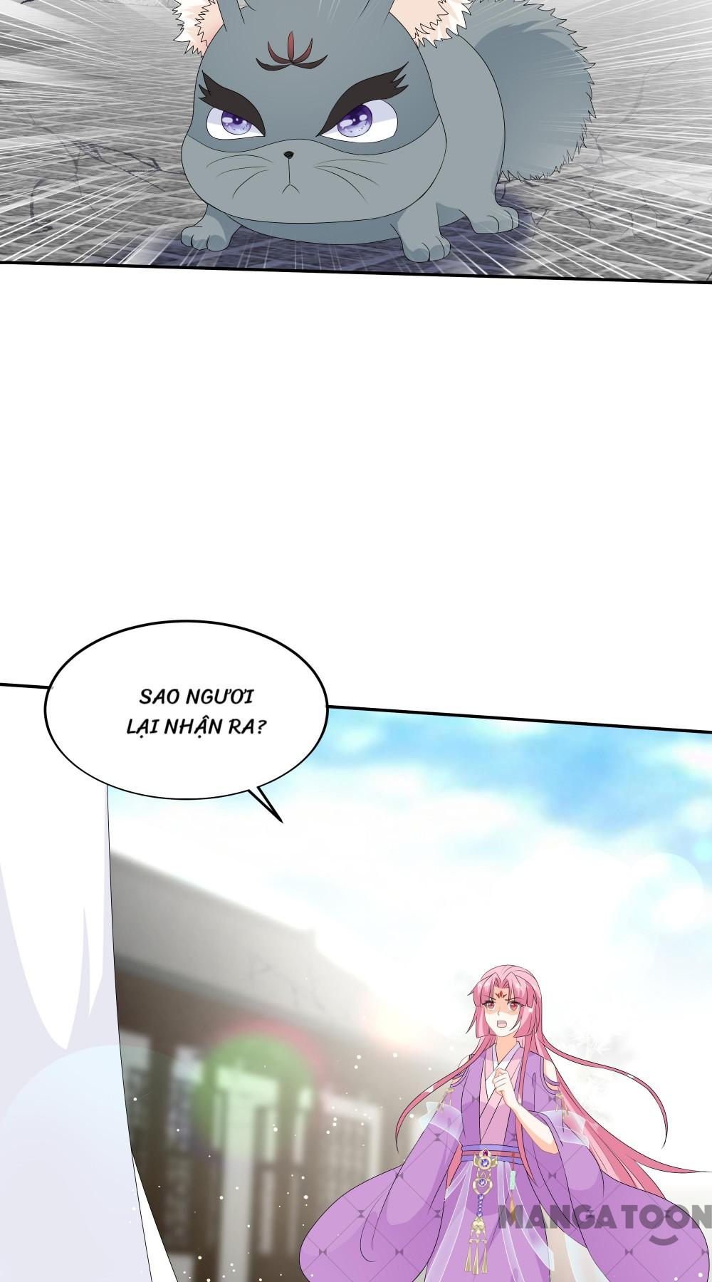 Hồ Phi Chớ Dây Vào Lửa Chapter 69 - Trang 11