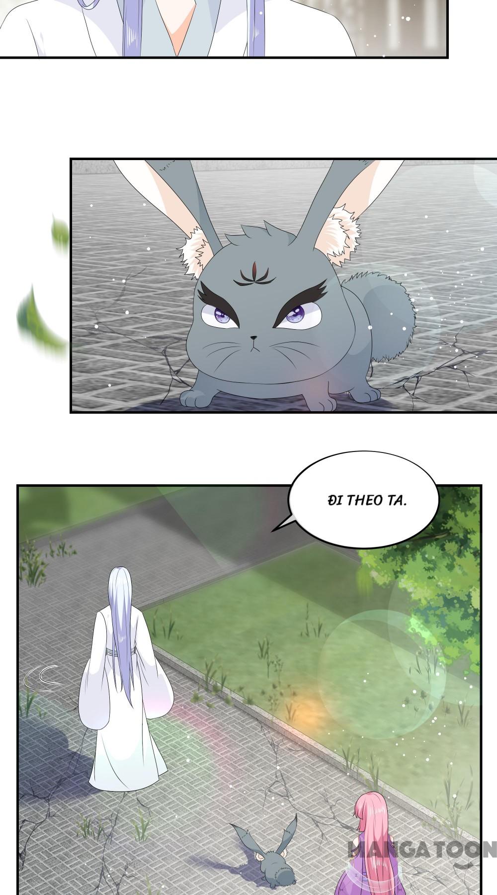Hồ Phi Chớ Dây Vào Lửa Chapter 69 - Trang 23