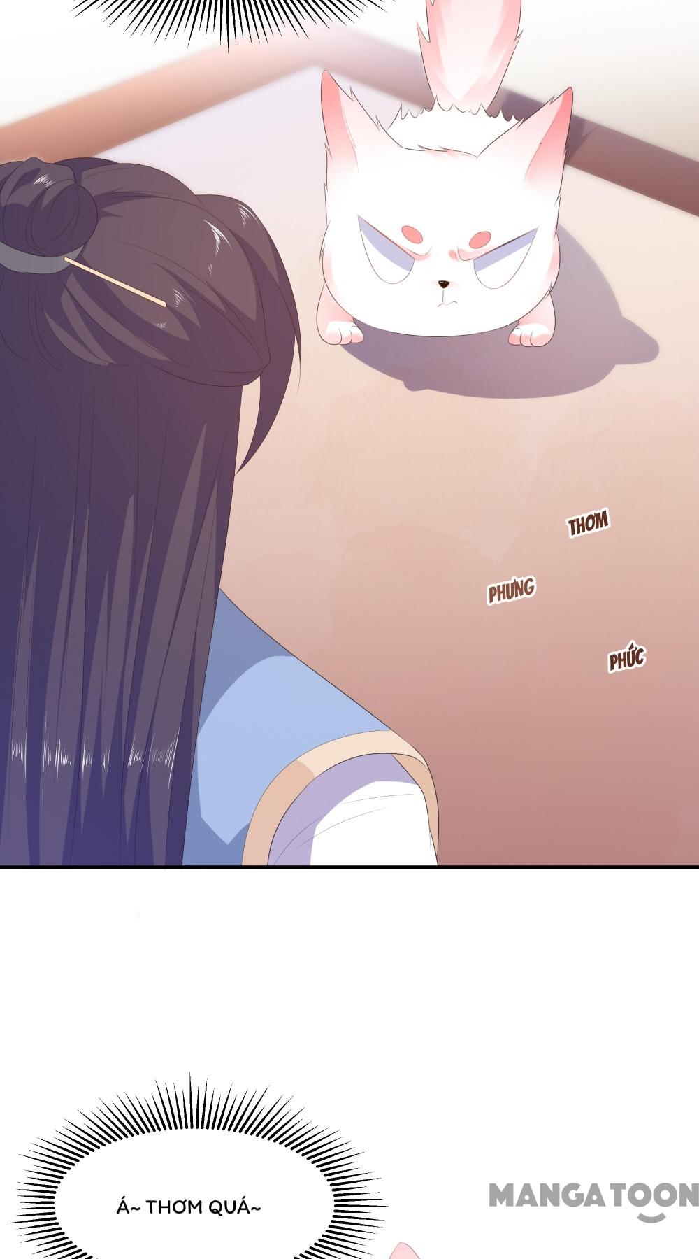 Hồ Phi Chớ Dây Vào Lửa Chapter 7 - Trang 10