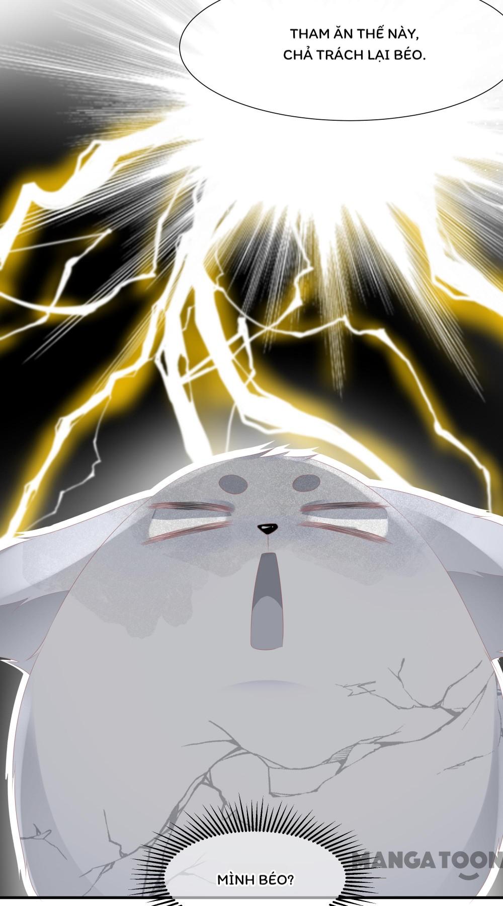 Hồ Phi Chớ Dây Vào Lửa Chapter 7 - Trang 14