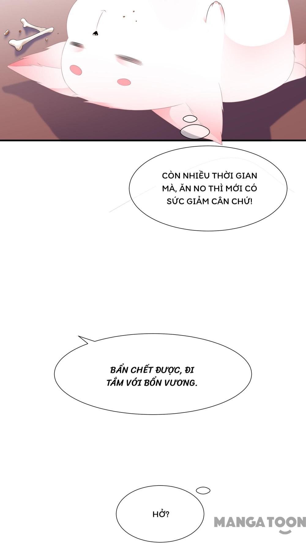 Hồ Phi Chớ Dây Vào Lửa Chapter 7 - Trang 27
