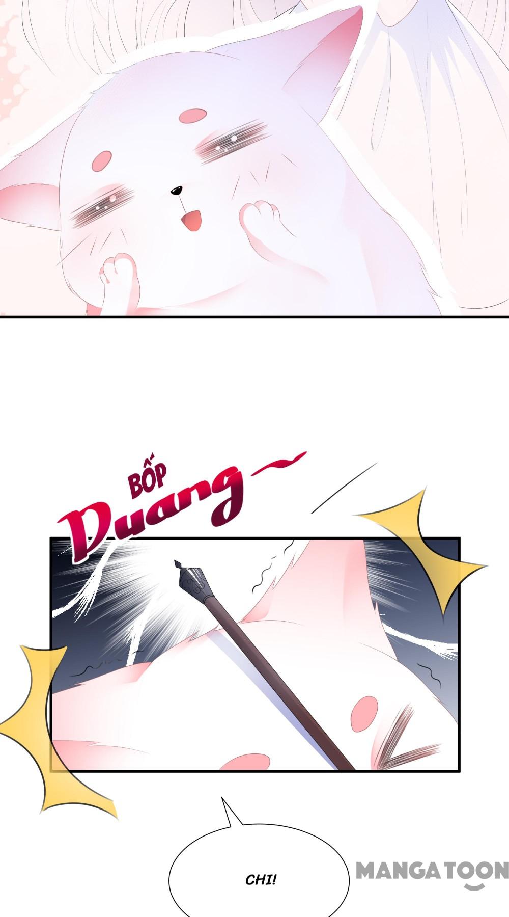 Hồ Phi Chớ Dây Vào Lửa Chapter 7 - Trang 5