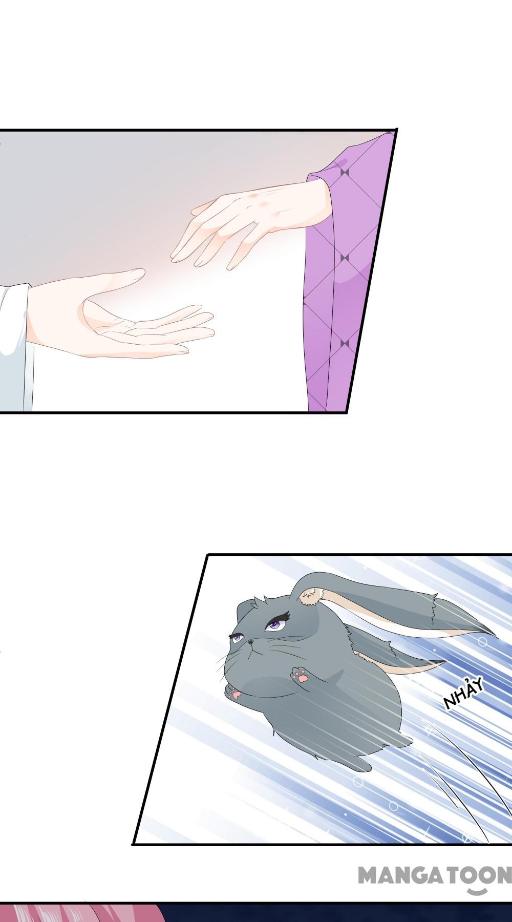 Hồ Phi Chớ Dây Vào Lửa Chapter 70 - Trang 2
