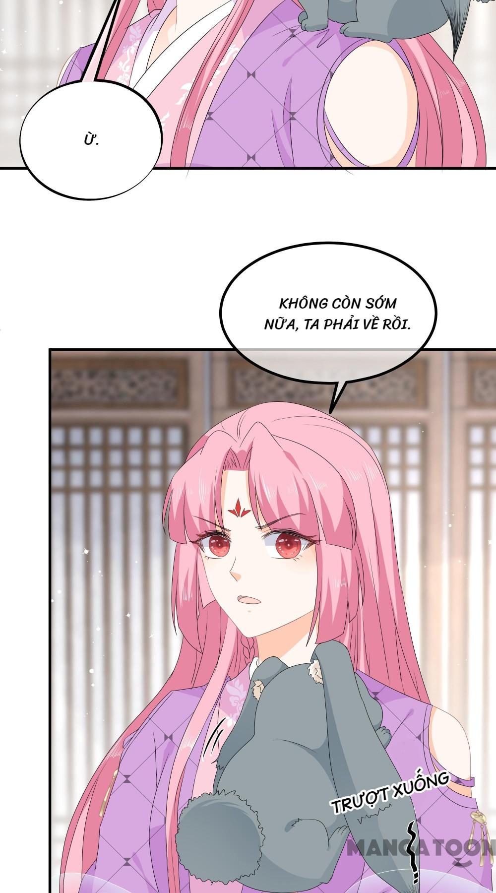 Hồ Phi Chớ Dây Vào Lửa Chapter 70 - Trang 6