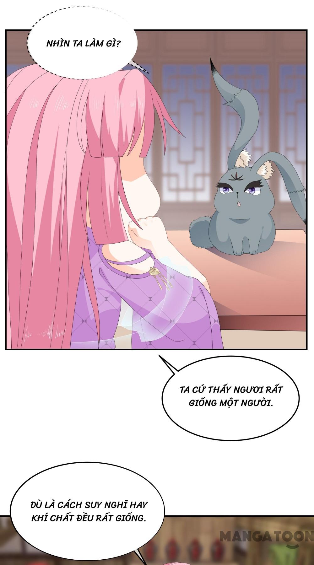 Hồ Phi Chớ Dây Vào Lửa Chapter 71 - Trang 26