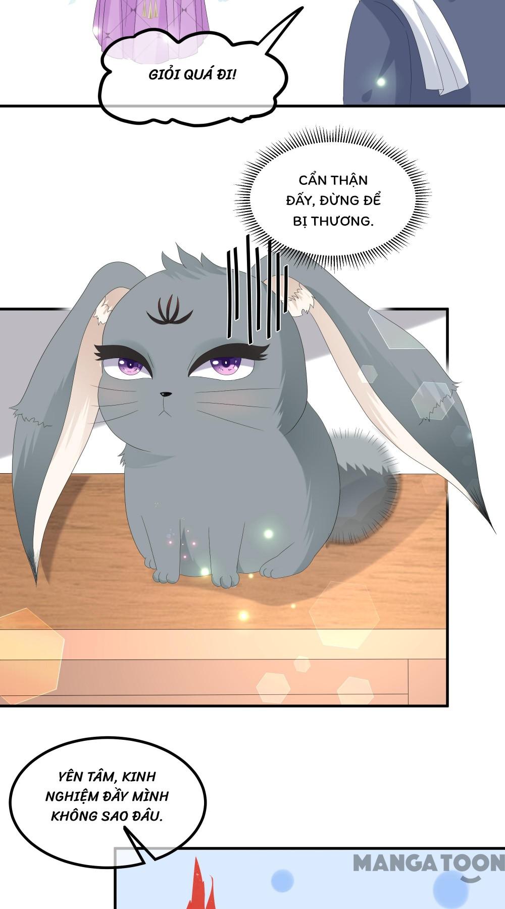 Hồ Phi Chớ Dây Vào Lửa Chapter 72 - Trang 10
