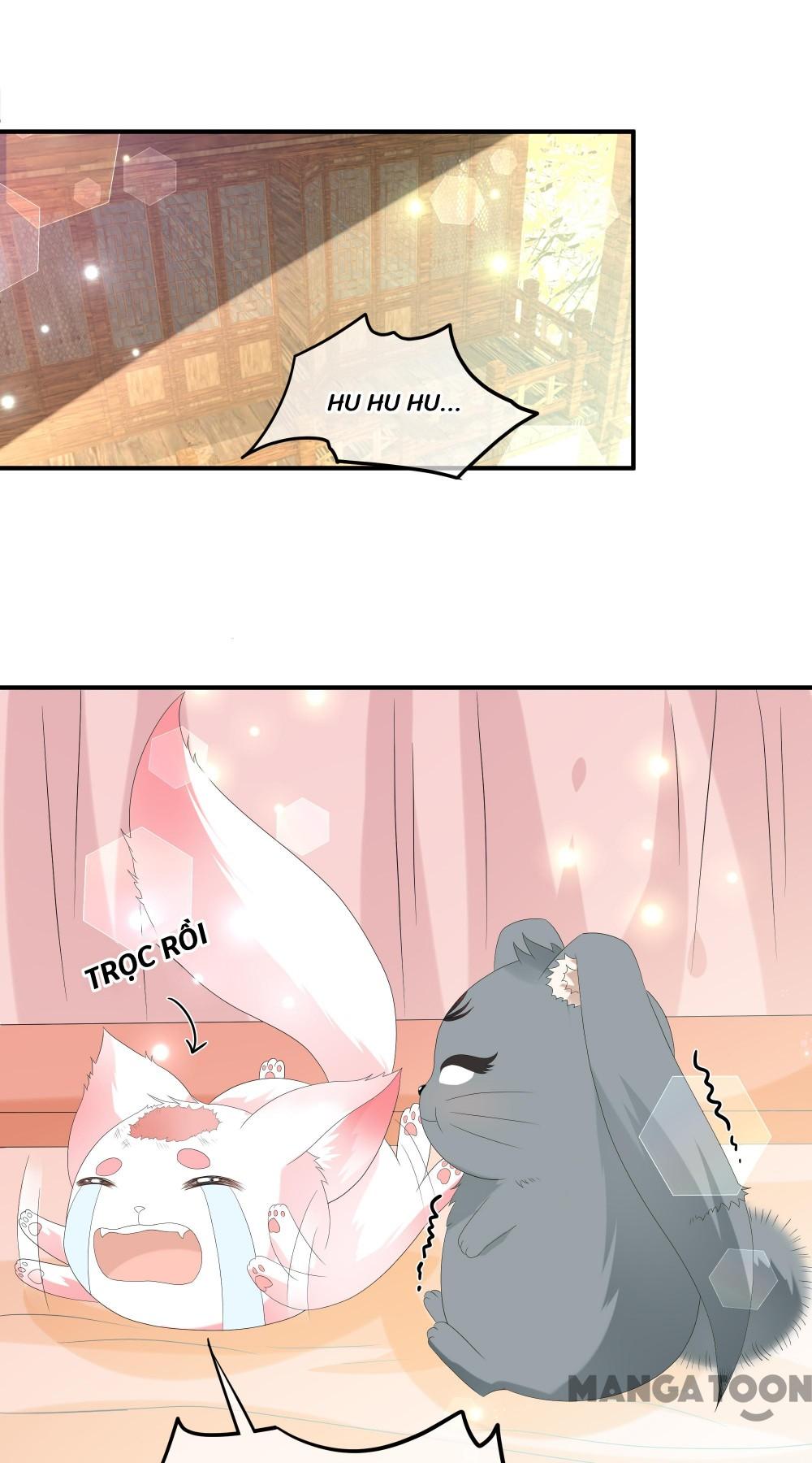 Hồ Phi Chớ Dây Vào Lửa Chapter 72 - Trang 12