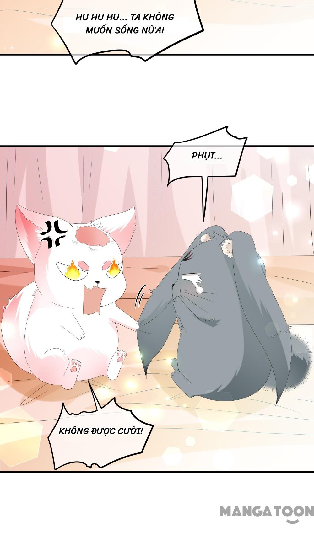 Hồ Phi Chớ Dây Vào Lửa Chapter 72 - Trang 13