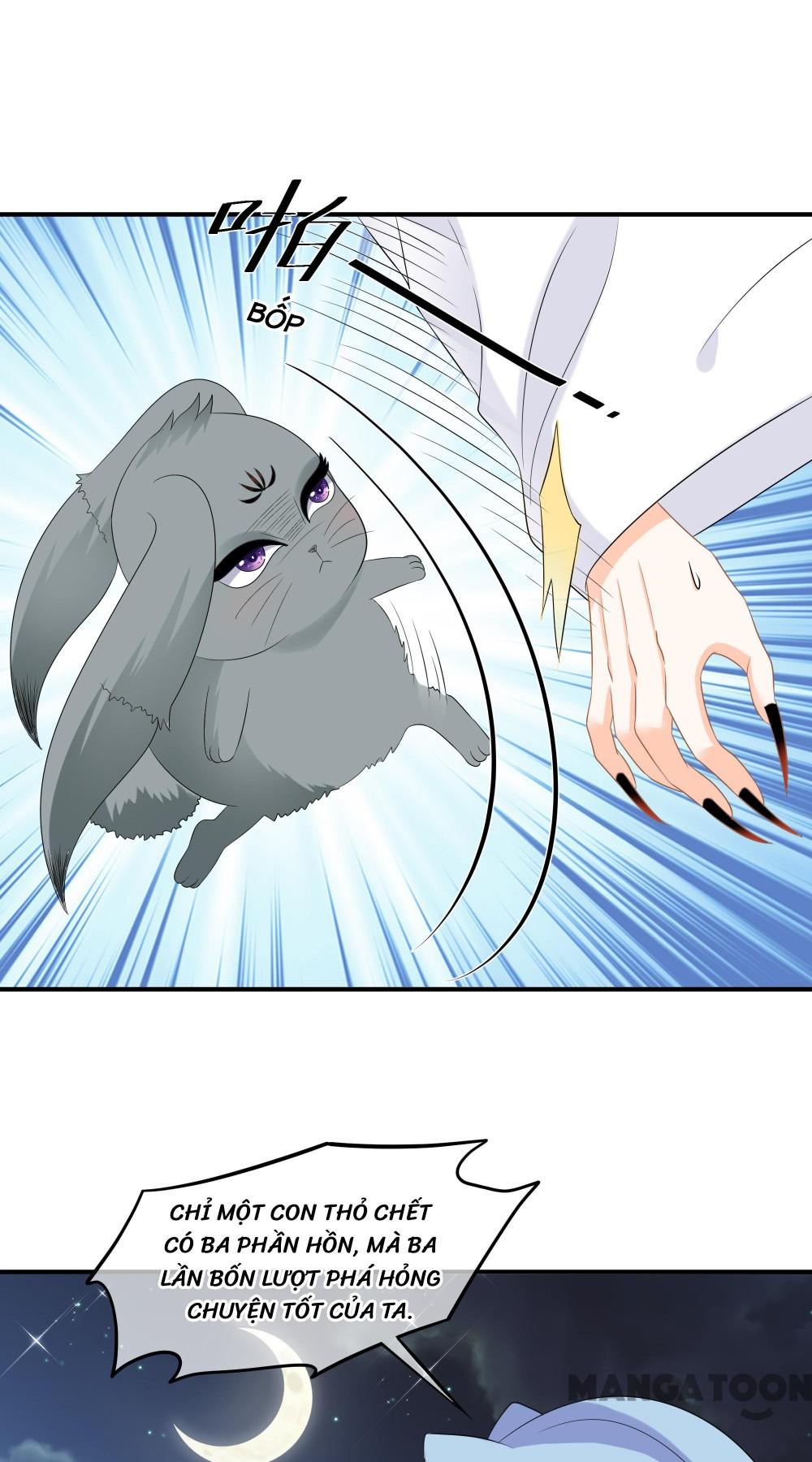 Hồ Phi Chớ Dây Vào Lửa Chapter 72 - Trang 27