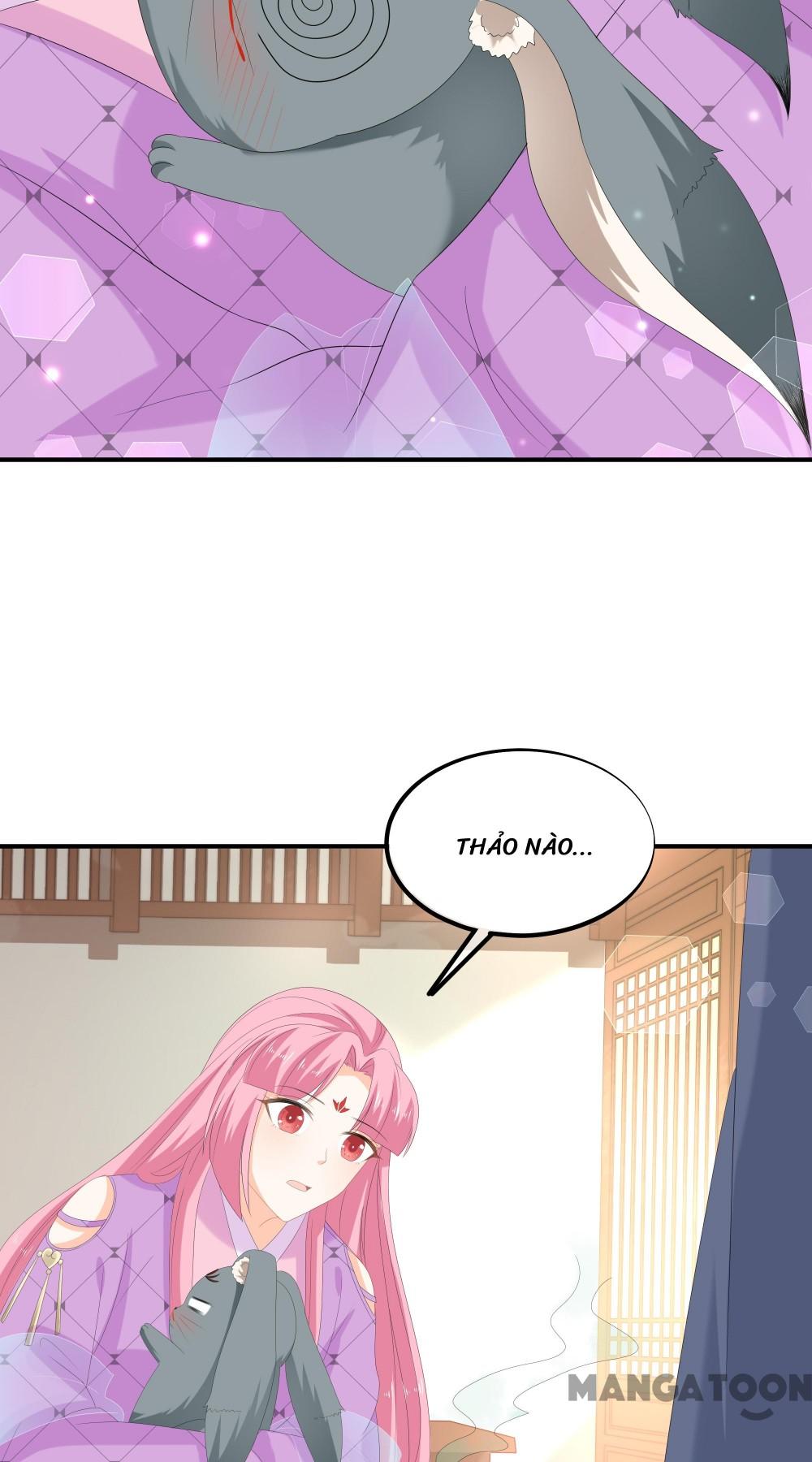 Hồ Phi Chớ Dây Vào Lửa Chapter 72 - Trang 5