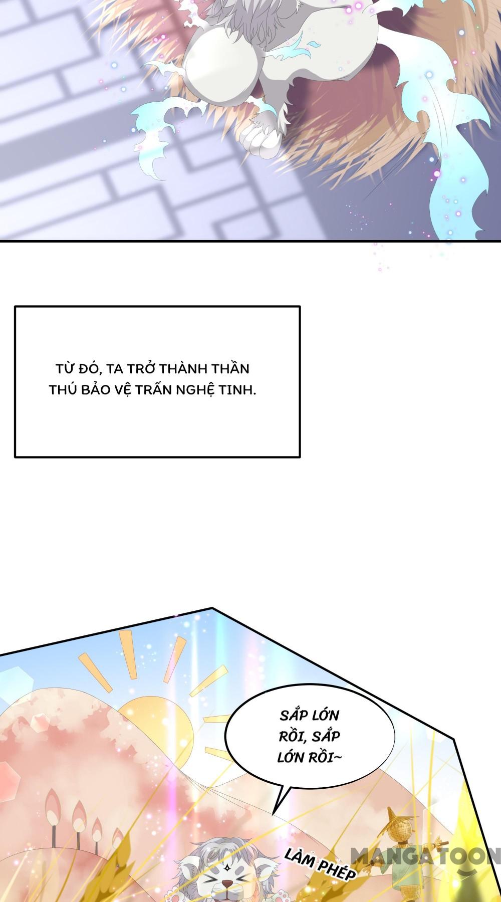 Hồ Phi Chớ Dây Vào Lửa Chapter 73 - Trang 10