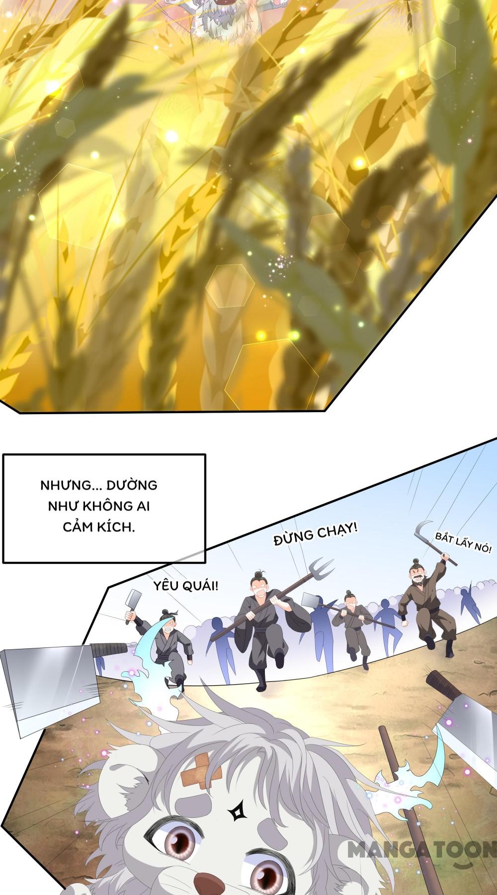 Hồ Phi Chớ Dây Vào Lửa Chapter 73 - Trang 11