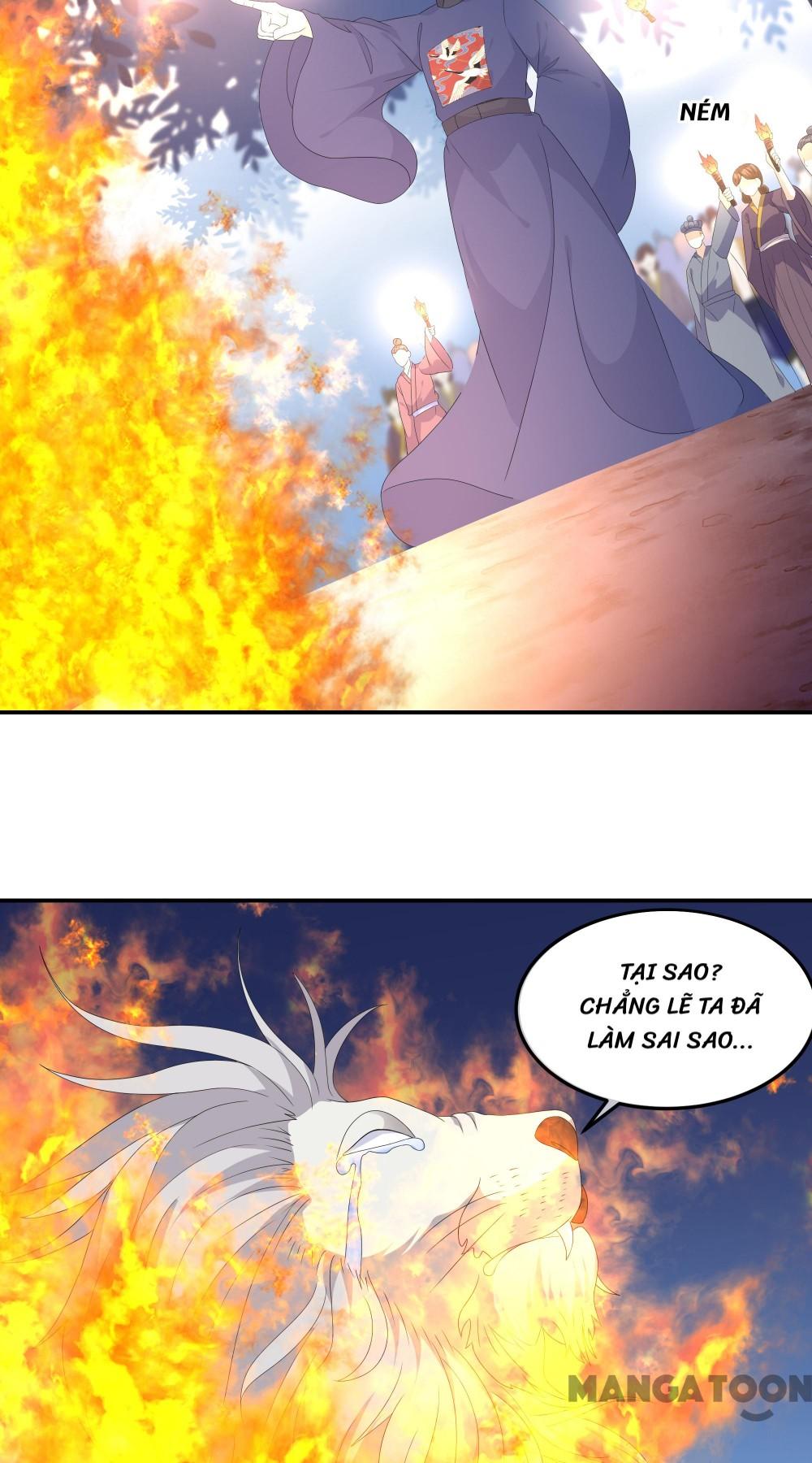 Hồ Phi Chớ Dây Vào Lửa Chapter 73 - Trang 22