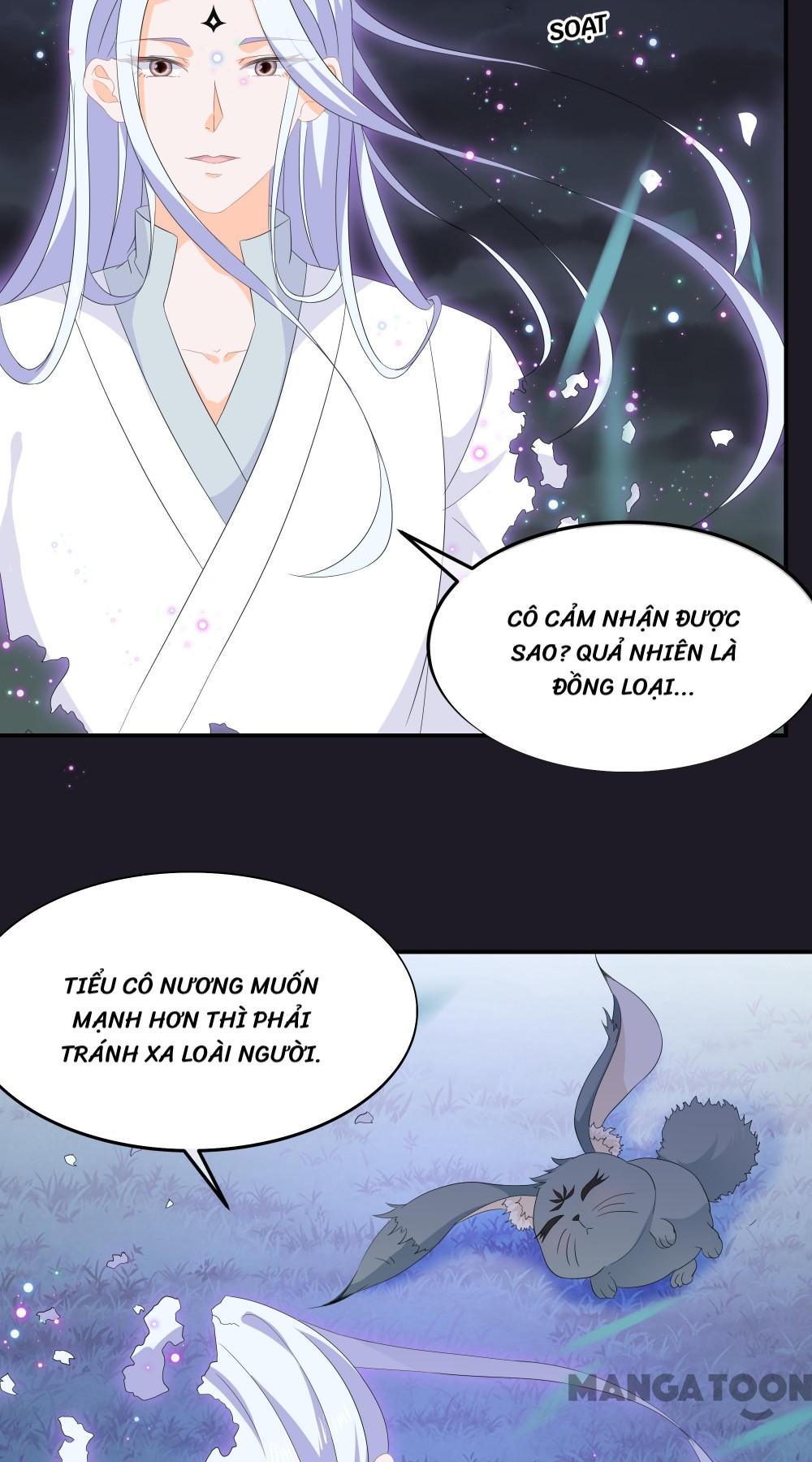 Hồ Phi Chớ Dây Vào Lửa Chapter 73 - Trang 28