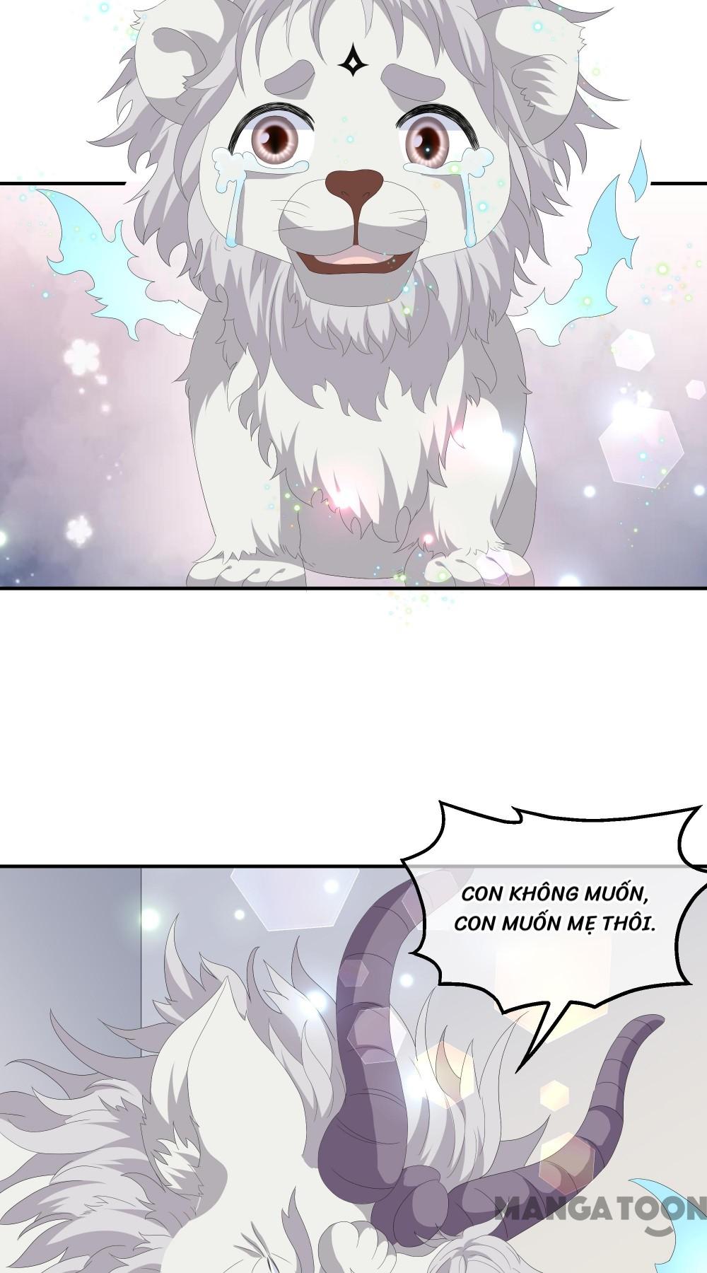 Hồ Phi Chớ Dây Vào Lửa Chapter 73 - Trang 4