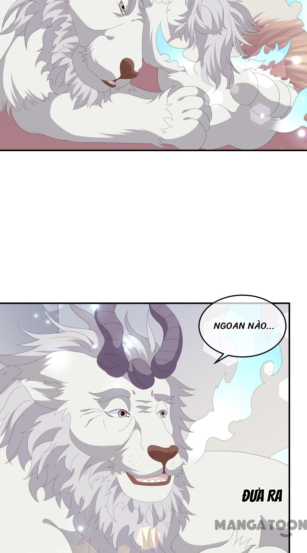 Hồ Phi Chớ Dây Vào Lửa Chapter 73 - Trang 5
