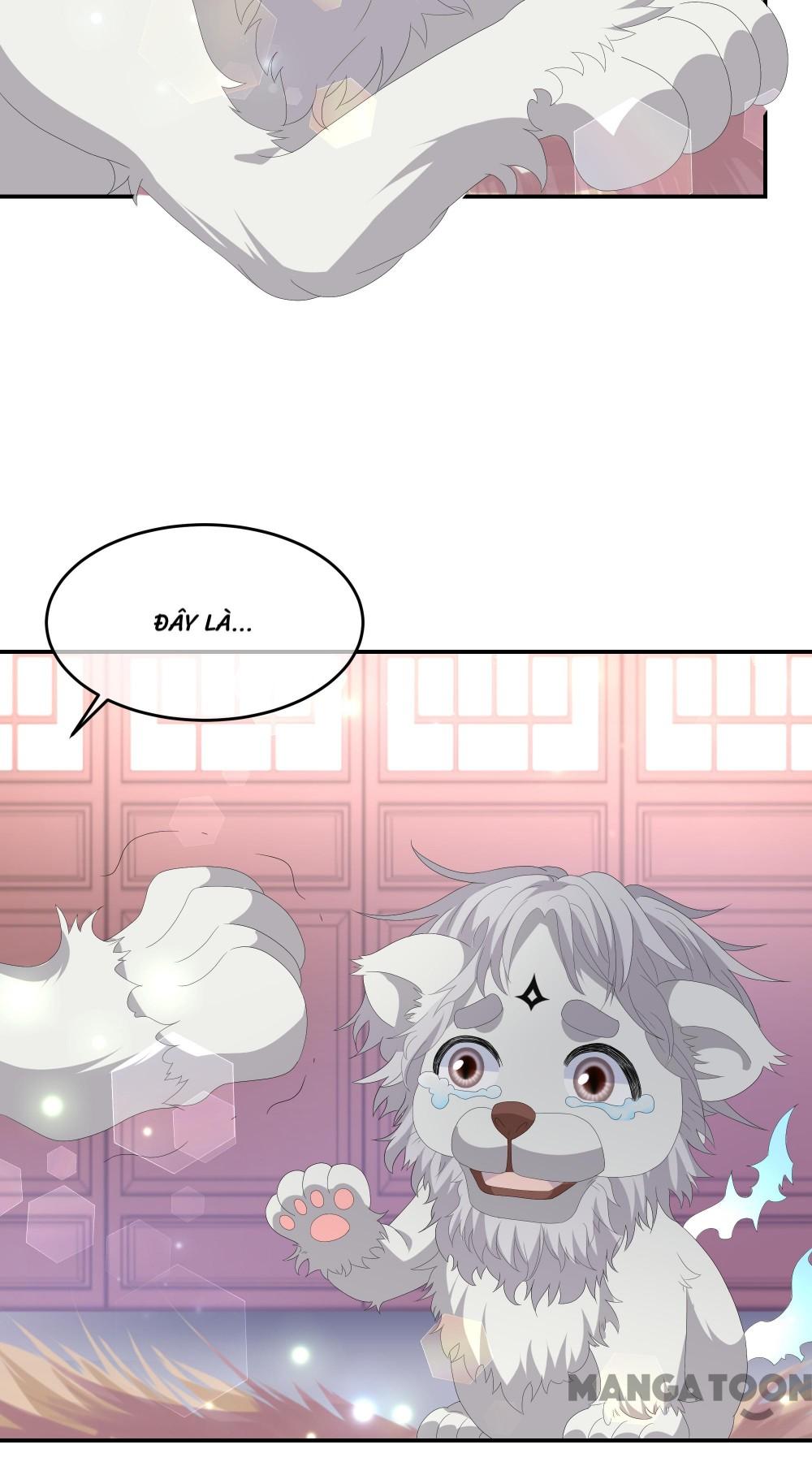 Hồ Phi Chớ Dây Vào Lửa Chapter 73 - Trang 6