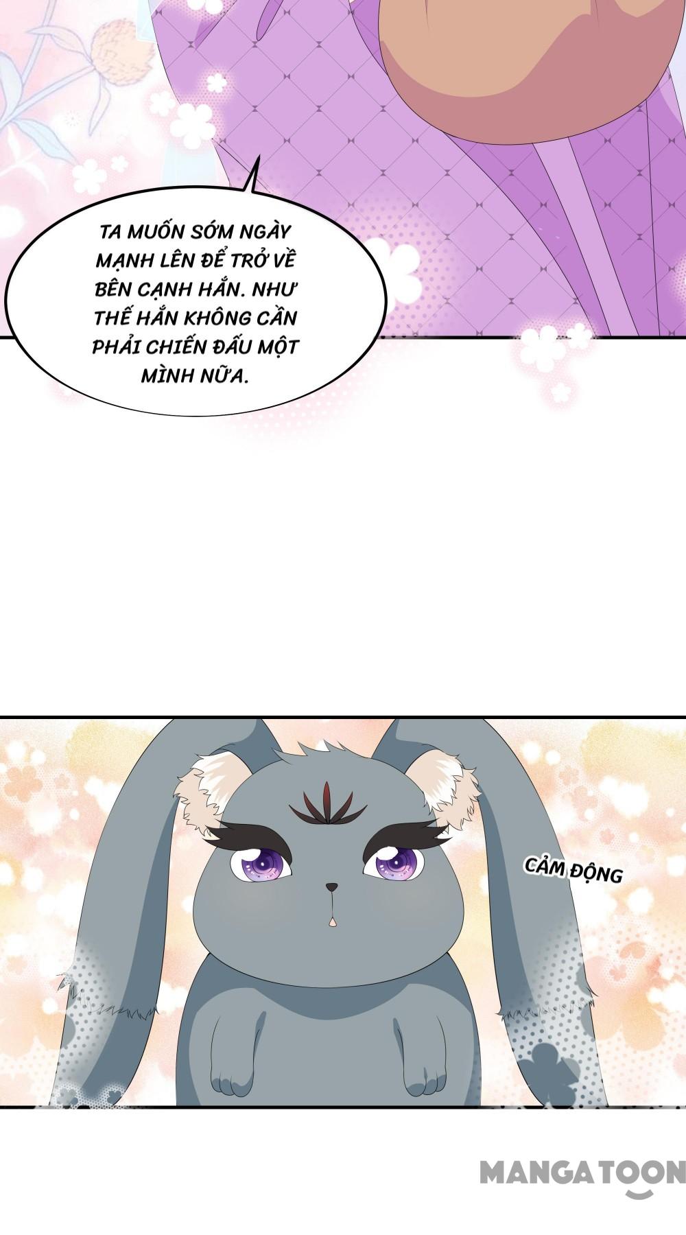 Hồ Phi Chớ Dây Vào Lửa Chapter 74 - Trang 24