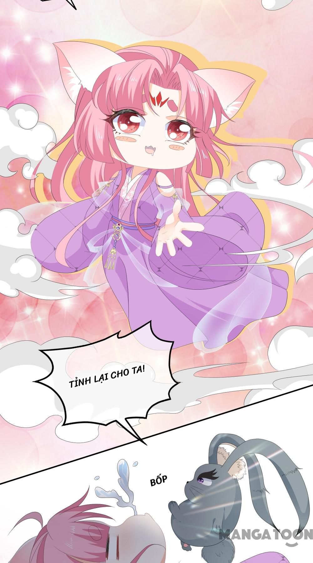 Hồ Phi Chớ Dây Vào Lửa Chapter 74 - Trang 5