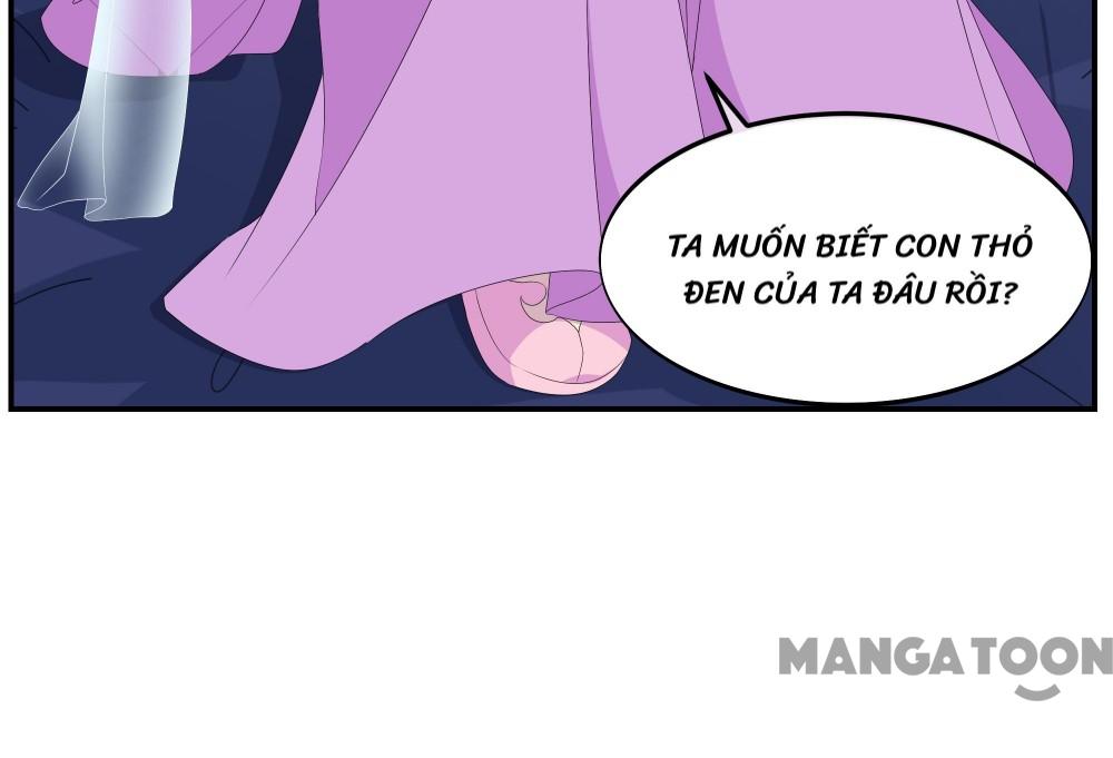 Hồ Phi Chớ Dây Vào Lửa Chapter 77 - Trang 13