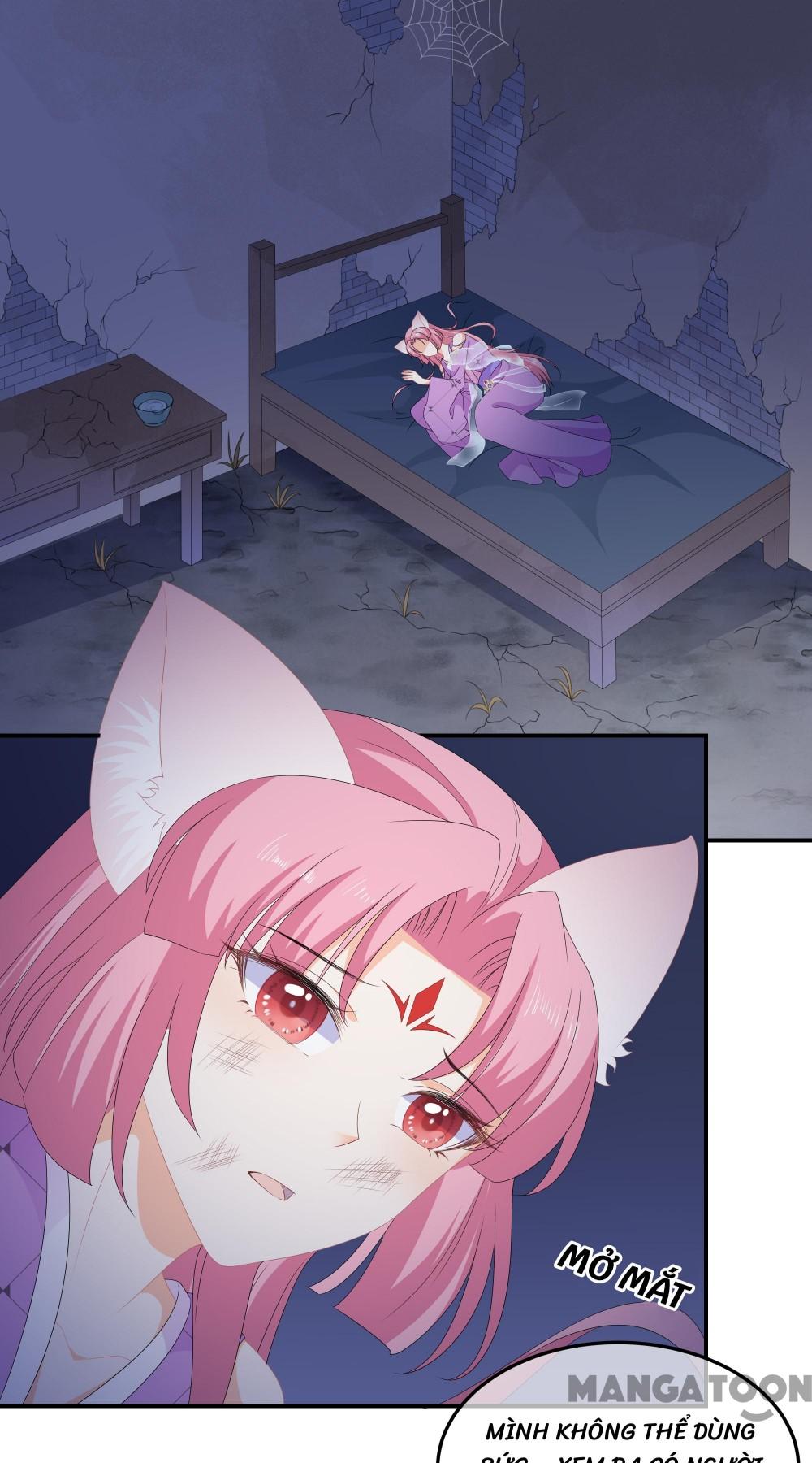 Hồ Phi Chớ Dây Vào Lửa Chapter 77 - Trang 2