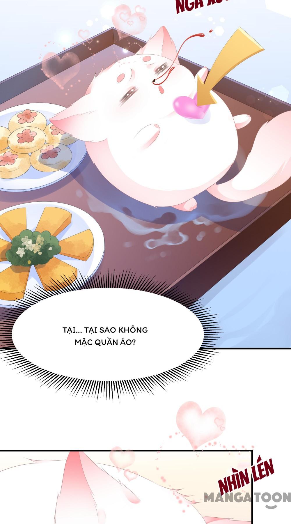 Hồ Phi Chớ Dây Vào Lửa Chapter 8 - Trang 10