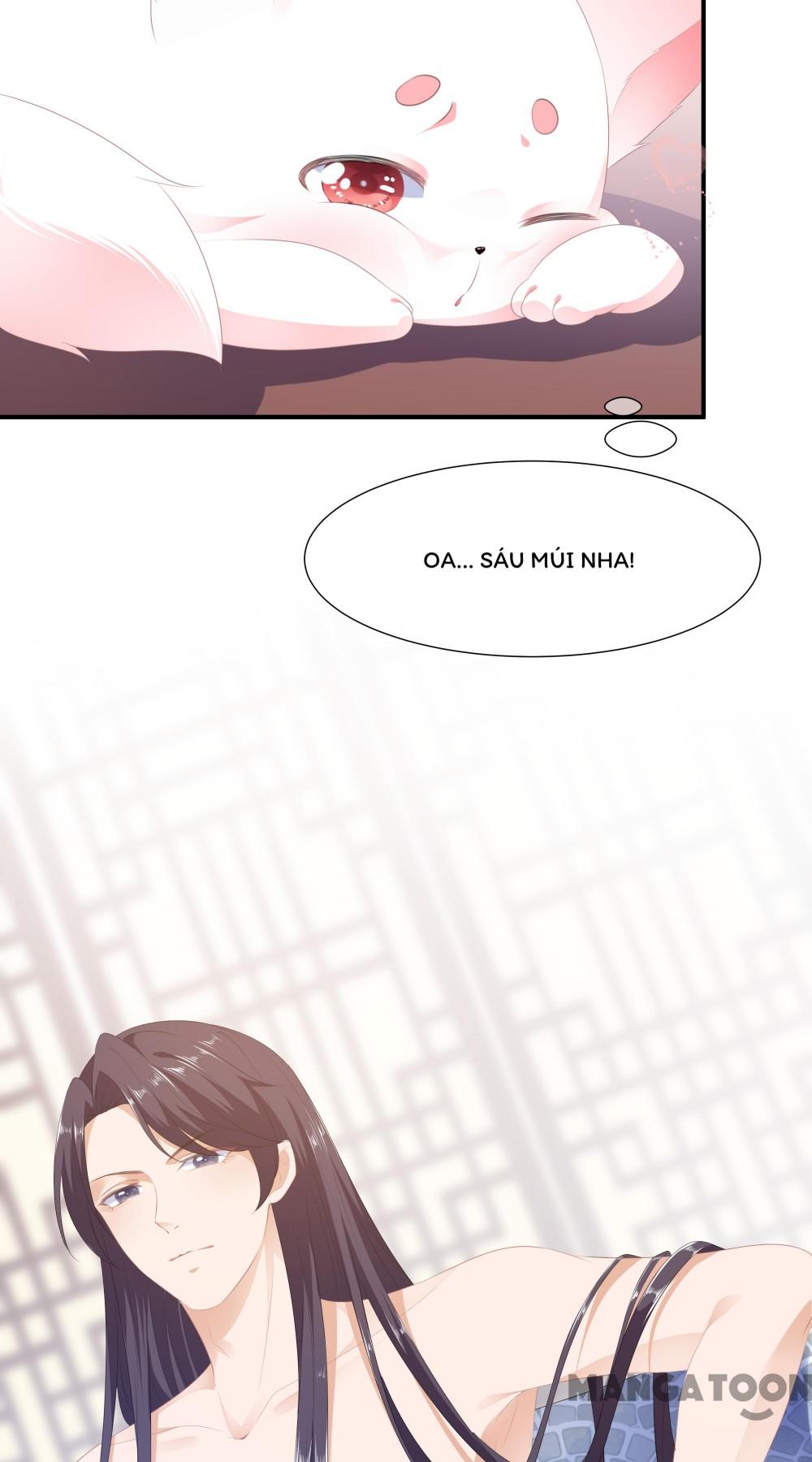 Hồ Phi Chớ Dây Vào Lửa Chapter 8 - Trang 11